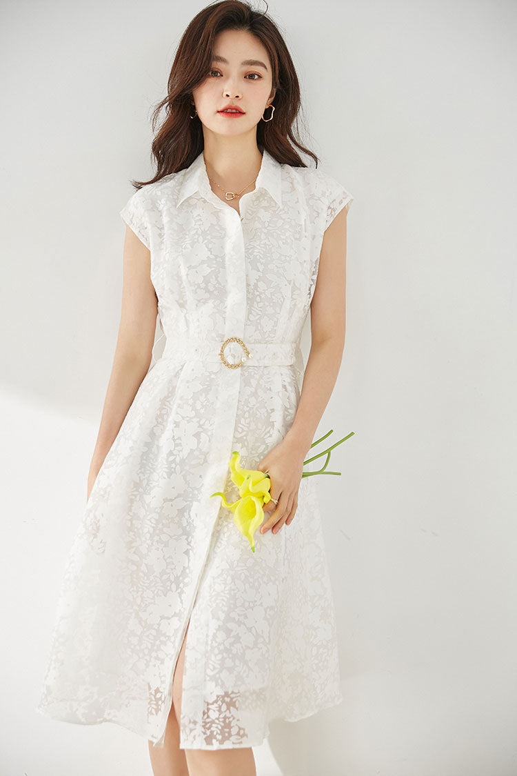 韓国ファッション SELCA-ジャガードカラードレス-2024ss-81-021